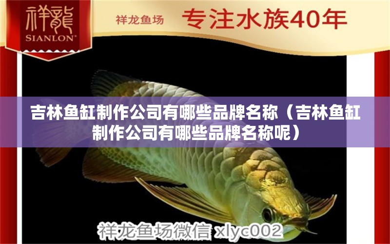 吉林魚缸制作公司有哪些品牌名稱（吉林魚缸制作公司有哪些品牌名稱呢）