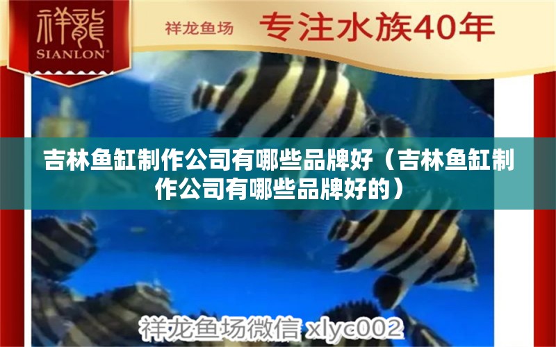 吉林魚缸制作公司有哪些品牌好（吉林魚缸制作公司有哪些品牌好的） 溫控設(shè)備