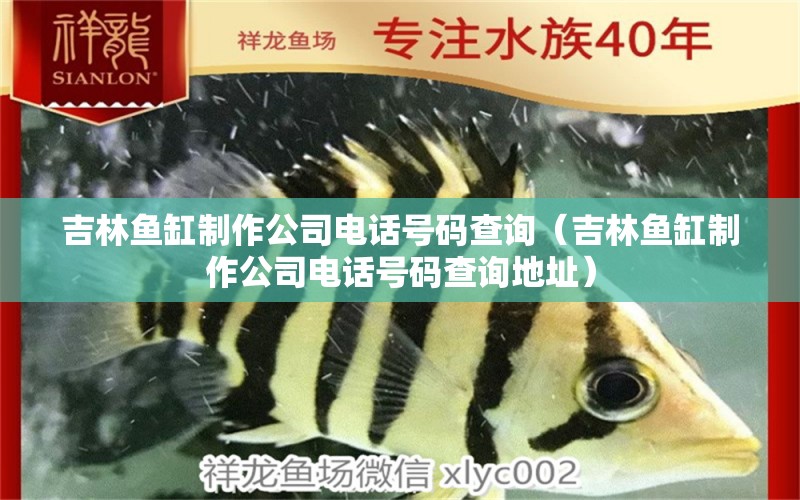 吉林魚缸制作公司電話號碼查詢（吉林魚缸制作公司電話號碼查詢地址） 白子關刀魚苗