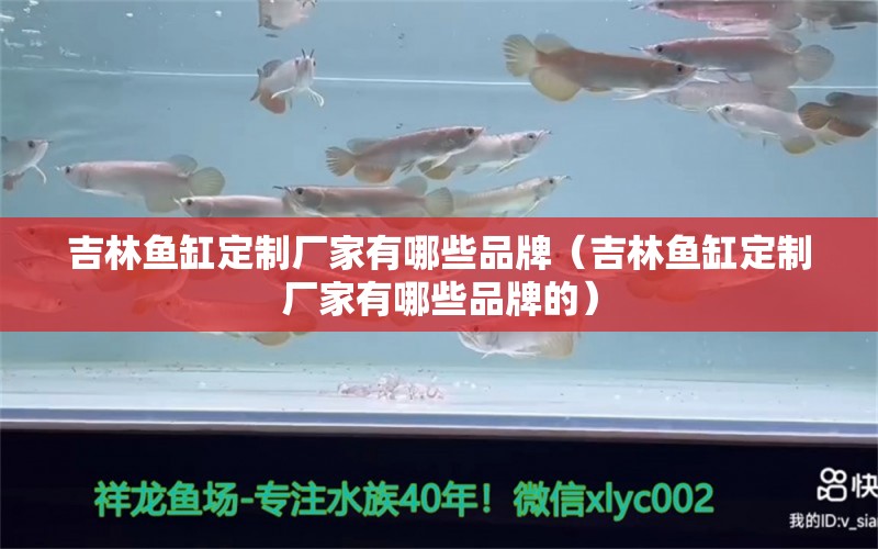 吉林魚(yú)缸定制廠家有哪些品牌（吉林魚(yú)缸定制廠家有哪些品牌的）