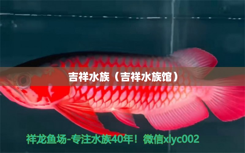 吉祥水族（吉祥水族館）