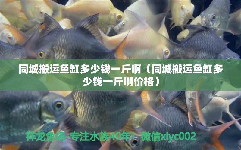 同城搬運魚缸多少錢一斤?。ㄍ前徇\魚缸多少錢一斤啊價格）