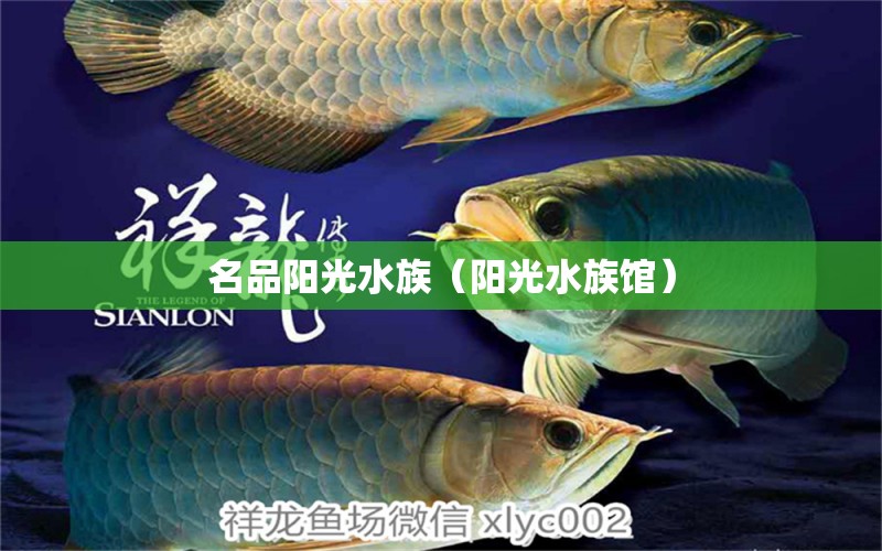 名品陽(yáng)光水族（陽(yáng)光水族館）