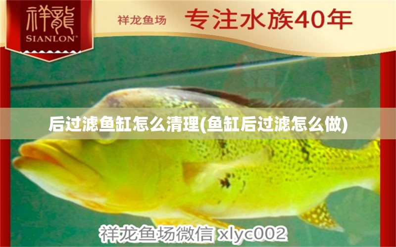 后過濾魚缸怎么清理(魚缸后過濾怎么做)