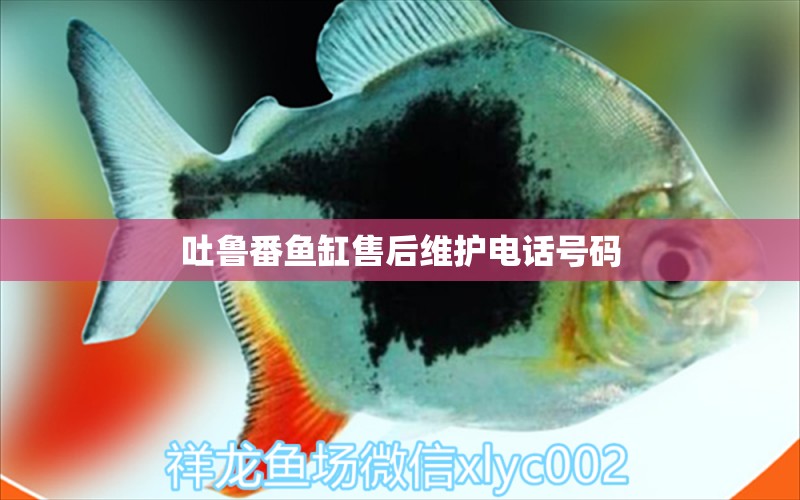 吐魯番魚缸售后維護電話號碼 其他品牌魚缸