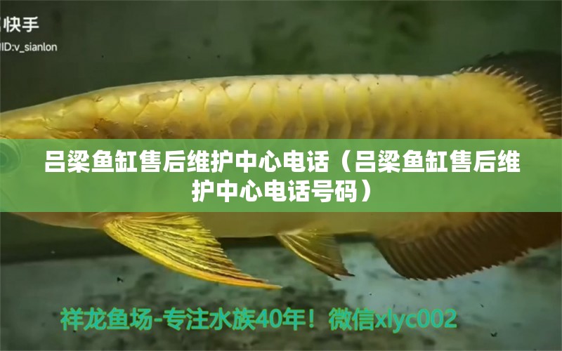 呂梁魚缸售后維護中心電話（呂梁魚缸售后維護中心電話號碼） 其他品牌魚缸