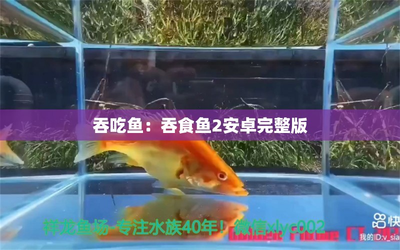 吞吃魚：吞食魚2安卓完整版 白化火箭