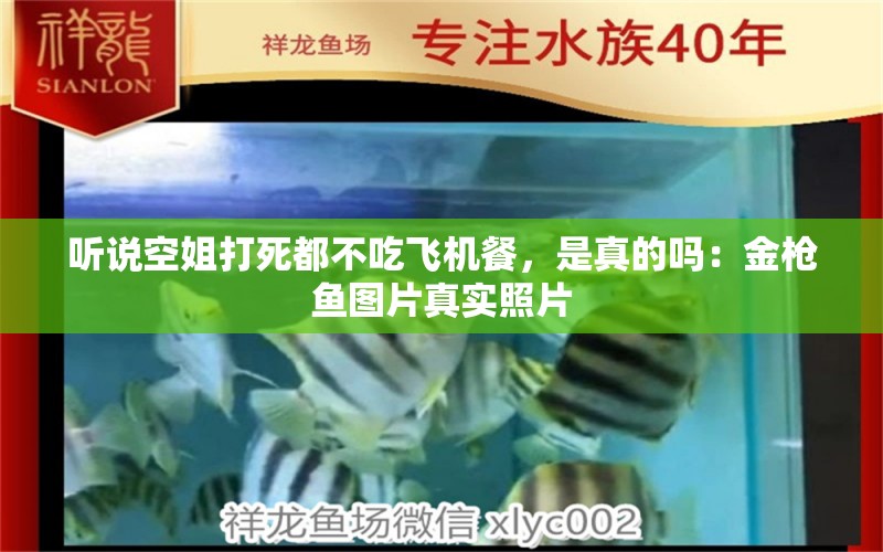 聽說空姐打死都不吃飛機(jī)餐，是真的嗎：金槍魚圖片真實(shí)照片