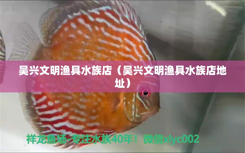 吳興文明漁具水族店（吳興文明漁具水族店地址）