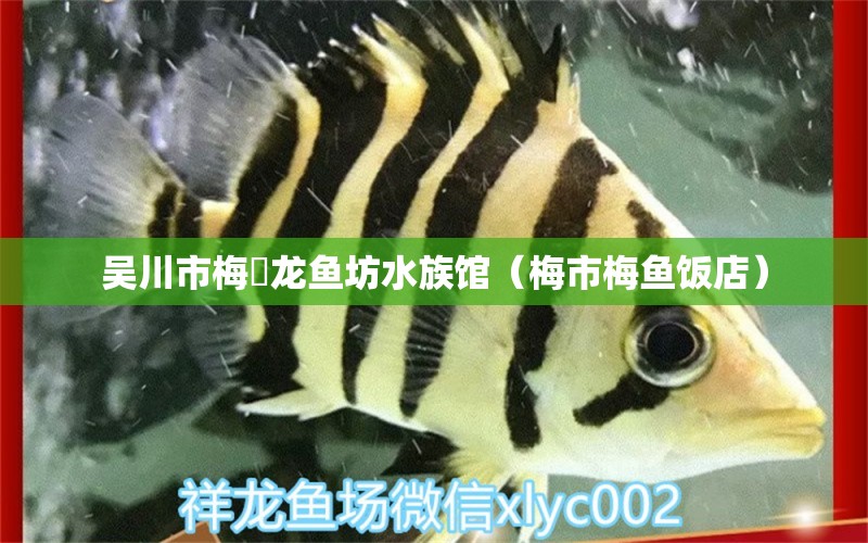 吳川市梅菉龍魚坊水族館（梅市梅魚飯店）