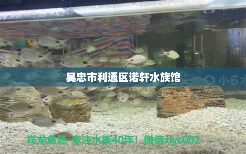 吳忠市利通區(qū)諾軒水族館