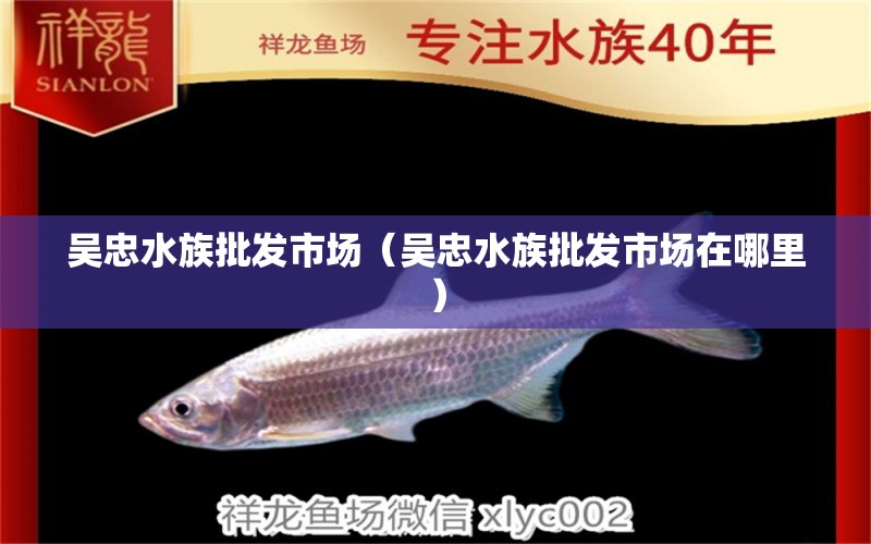 吳忠水族批發(fā)市場（吳忠水族批發(fā)市場在哪里） 觀賞魚水族批發(fā)市場