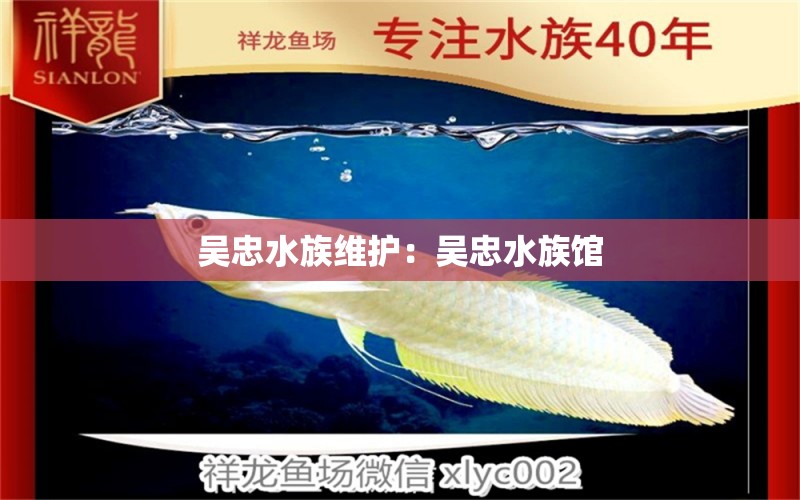 吳忠水族維護(hù)：吳忠水族館