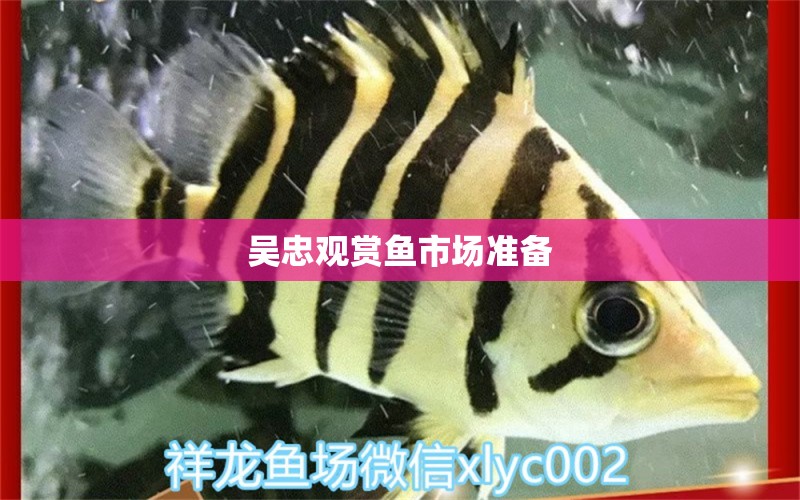 吳忠觀賞魚市場準(zhǔn)備