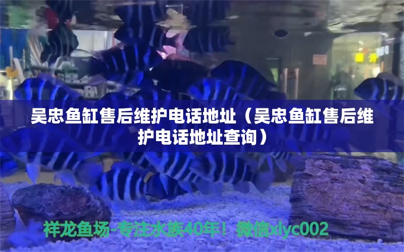 吳忠魚缸售后維護(hù)電話地址（吳忠魚缸售后維護(hù)電話地址查詢）