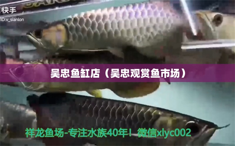 吳忠魚(yú)缸店（吳忠觀(guān)賞魚(yú)市場(chǎng)）