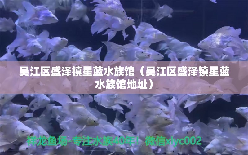 吳江區(qū)盛澤鎮(zhèn)星藍(lán)水族館（吳江區(qū)盛澤鎮(zhèn)星藍(lán)水族館地址）