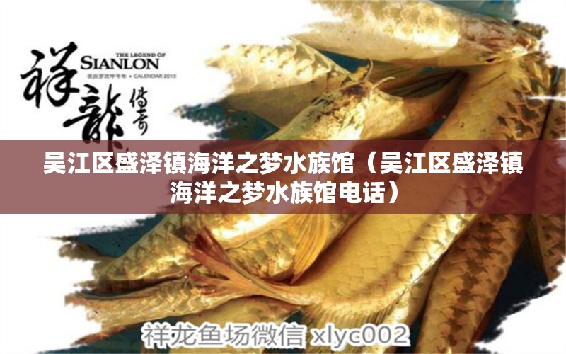 吳江區(qū)盛澤鎮(zhèn)海洋之夢水族館（吳江區(qū)盛澤鎮(zhèn)海洋之夢水族館電話）