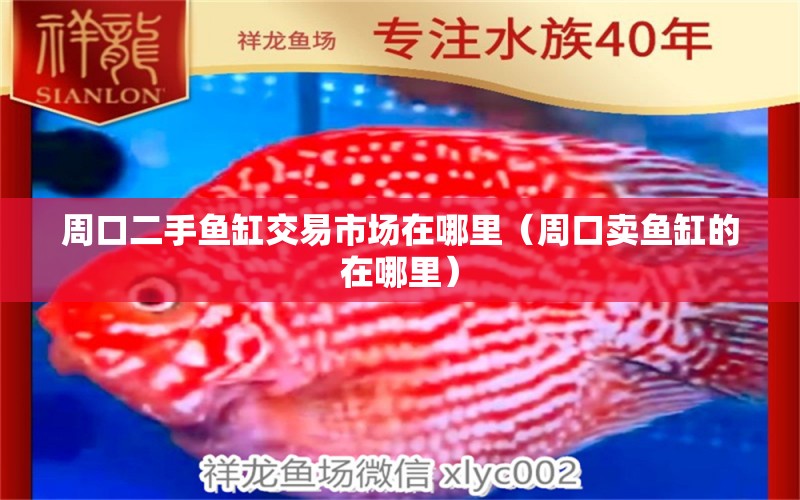 周口二手魚缸交易市場在哪里（周口賣魚缸的在哪里）