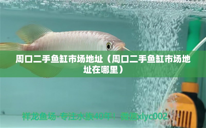 周口二手魚缸市場地址（周口二手魚缸市場地址在哪里） 祥龍魚場