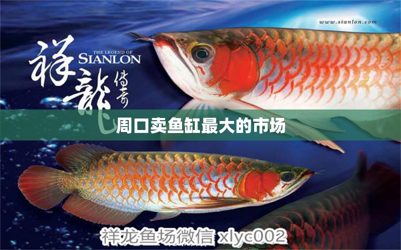 周口賣魚缸最大的市場 其他品牌魚缸