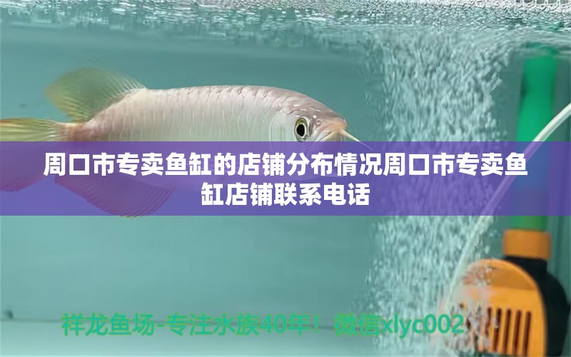 周口市專賣魚缸的店鋪分布情況周口市專賣魚缸店鋪聯(lián)系電話