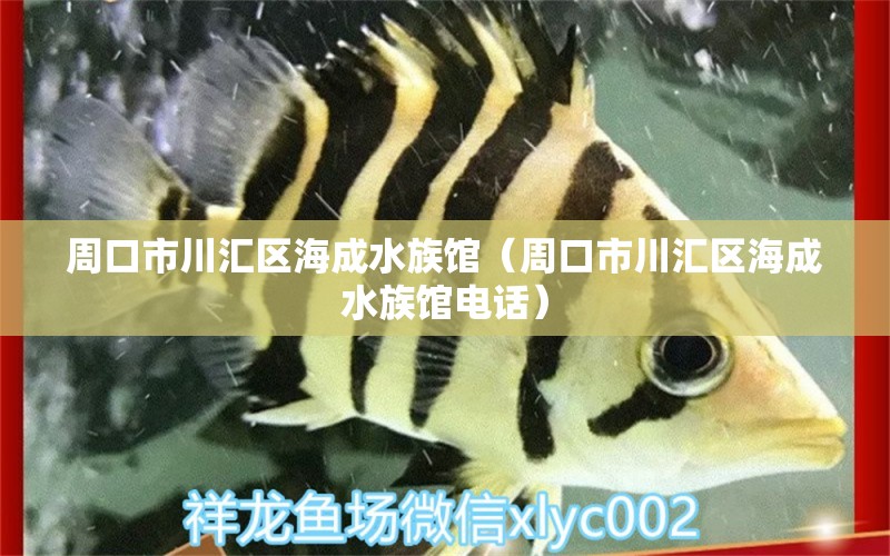 周口市川匯區(qū)海成水族館（周口市川匯區(qū)海成水族館電話(huà)） 全國(guó)水族館企業(yè)名錄