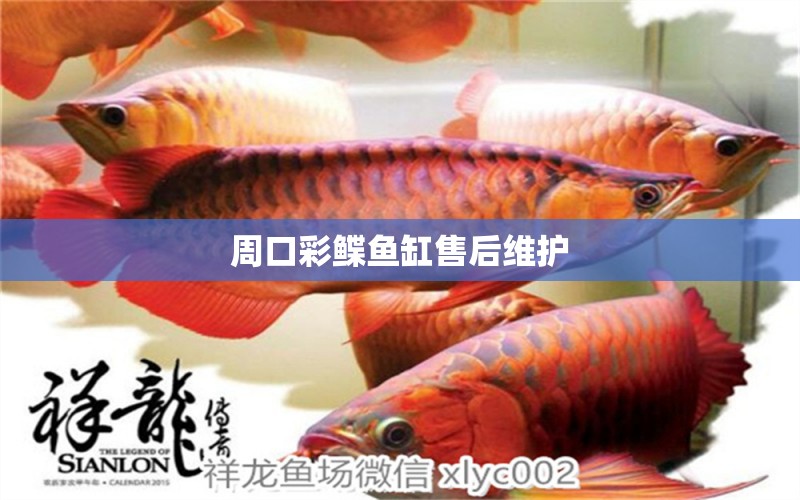 周口彩鰈魚缸售后維護 彩鰈魚缸（彩蝶魚缸）