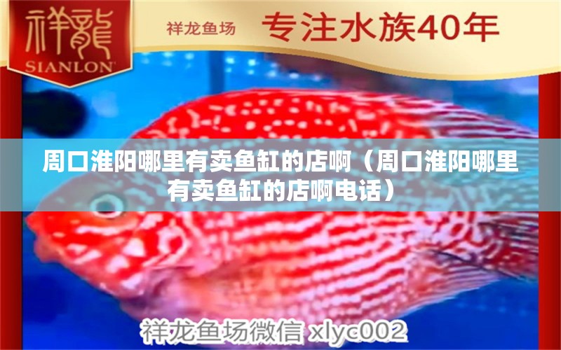 周口淮陽哪里有賣魚缸的店?。ㄖ芸诨搓柲睦镉匈u魚缸的店啊電話） 細線銀板魚苗