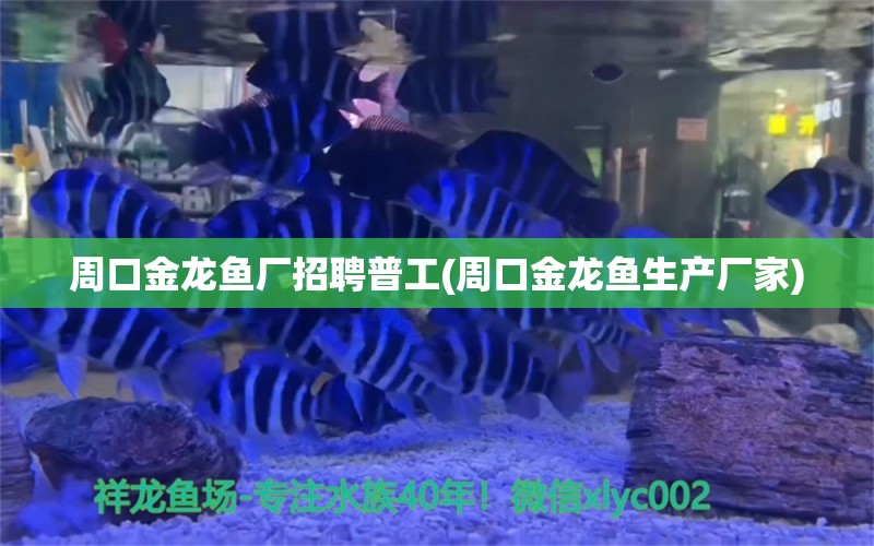 周口金龍魚廠招聘普工(周口金龍魚生產(chǎn)廠家) 沖氧泵