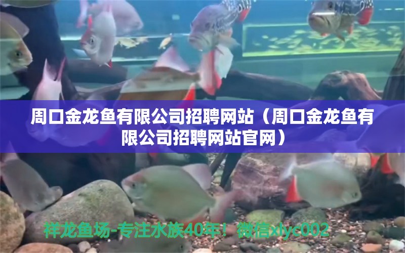 周口金龍魚有限公司招聘網(wǎng)站（周口金龍魚有限公司招聘網(wǎng)站官網(wǎng)）