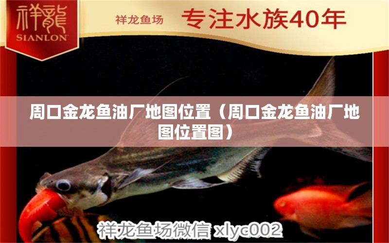 周口金龍魚油廠地圖位置（周口金龍魚油廠地圖位置圖）