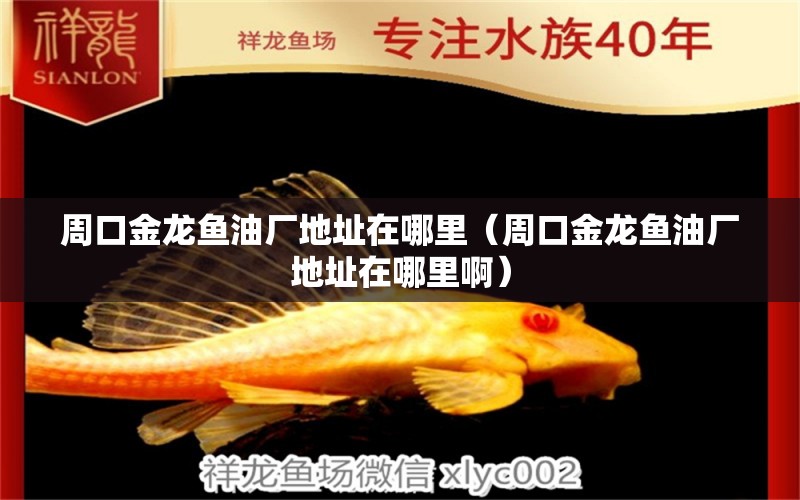 周口金龍魚油廠地址在哪里（周口金龍魚油廠地址在哪里?。? title=