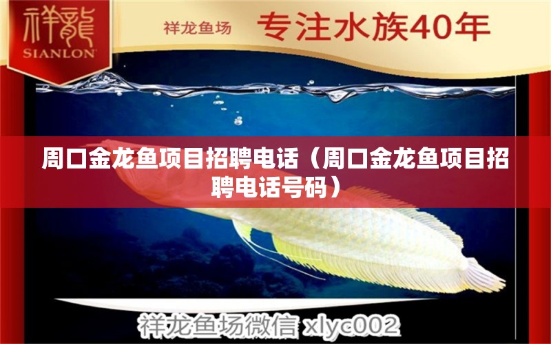 周口金龍魚(yú)項(xiàng)目招聘電話(huà)（周口金龍魚(yú)項(xiàng)目招聘電話(huà)號(hào)碼）