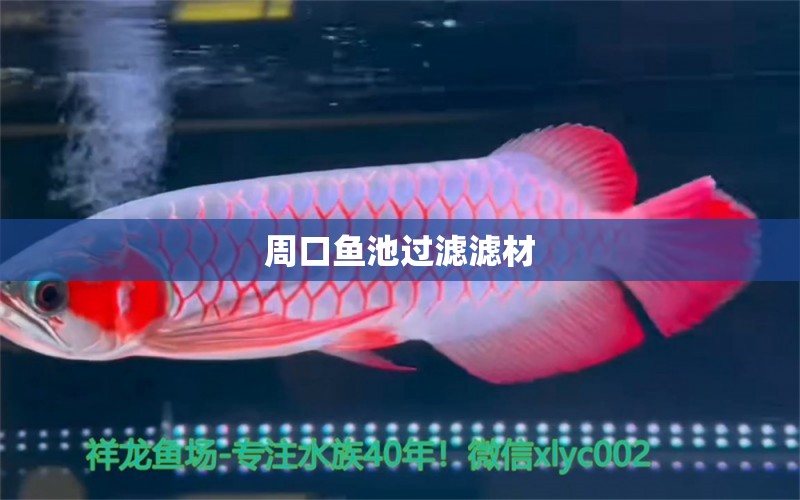 周口魚池過濾濾材 廣州水族器材濾材批發(fā)市場