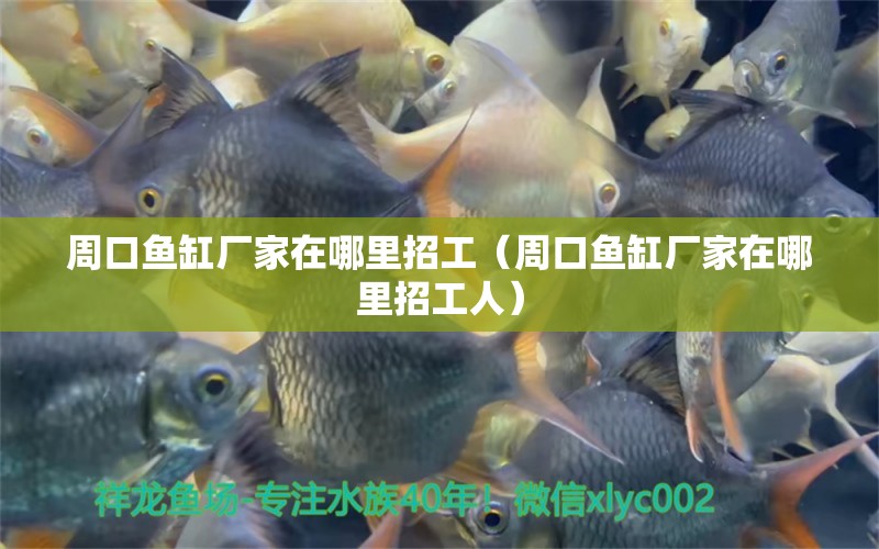 周口魚缸廠家在哪里招工（周口魚缸廠家在哪里招工人）