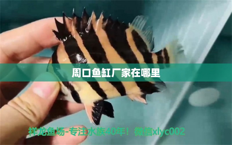 周口魚缸廠家在哪里