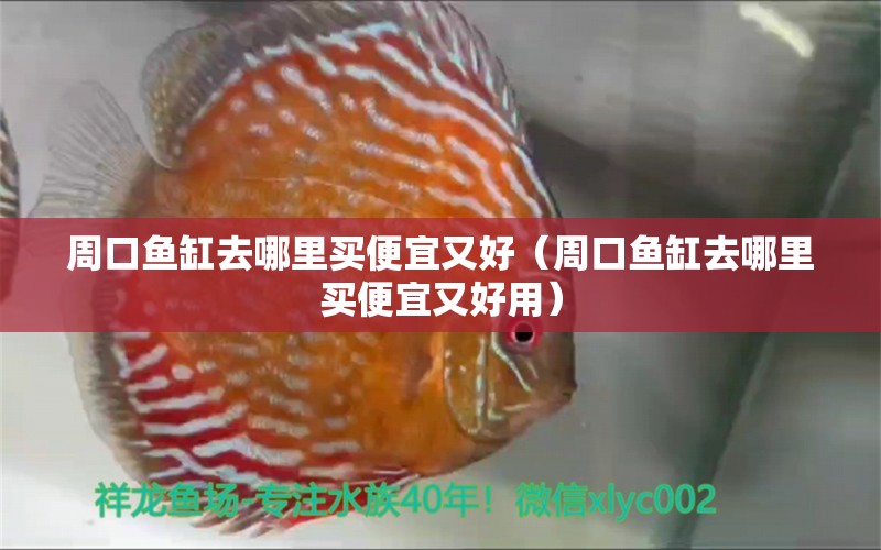 周口魚缸去哪里買便宜又好（周口魚缸去哪里買便宜又好用）