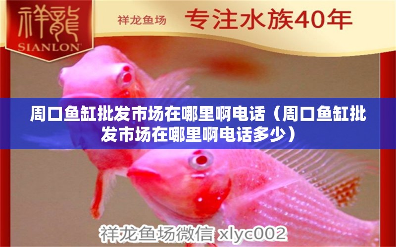 周口魚缸批發(fā)市場在哪里啊電話（周口魚缸批發(fā)市場在哪里啊電話多少） 文玩