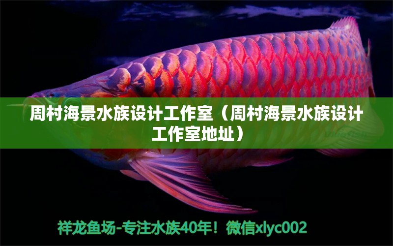 周村海景水族設(shè)計(jì)工作室（周村海景水族設(shè)計(jì)工作室地址） 全國水族館企業(yè)名錄