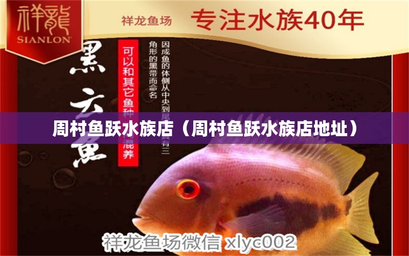 周村魚(yú)躍水族店（周村魚(yú)躍水族店地址） 全國(guó)水族館企業(yè)名錄