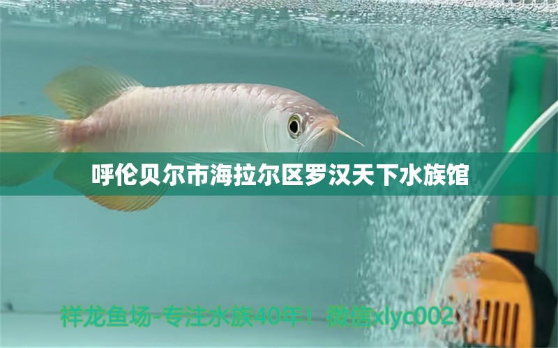 呼倫貝爾市海拉爾區(qū)羅漢天下水族館