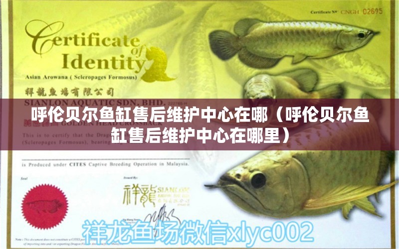 呼倫貝爾魚缸售后維護中心在哪（呼倫貝爾魚缸售后維護中心在哪里）