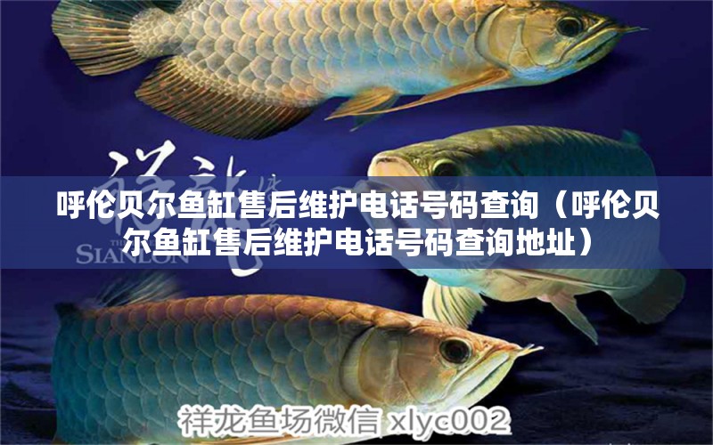 呼倫貝爾魚缸售后維護電話號碼查詢（呼倫貝爾魚缸售后維護電話號碼查詢地址） 其他品牌魚缸