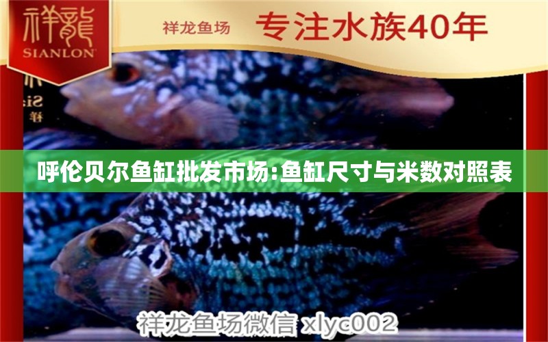 呼倫貝爾魚(yú)缸批發(fā)市場(chǎng):魚(yú)缸尺寸與米數(shù)對(duì)照表