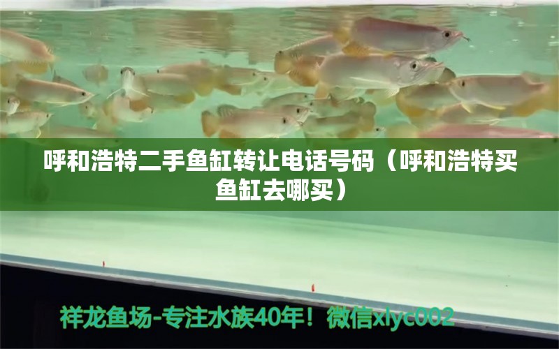 呼和浩特二手魚缸轉(zhuǎn)讓電話號(hào)碼（呼和浩特買魚缸去哪買）