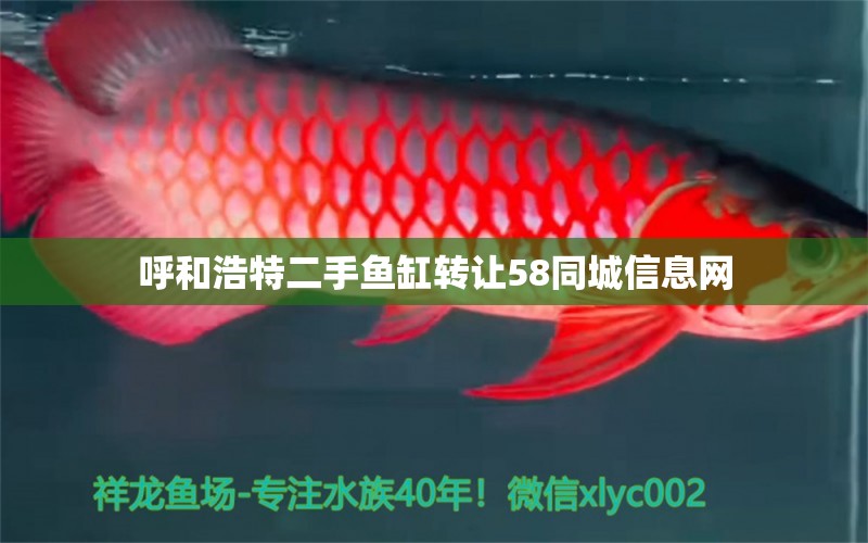 呼和浩特二手魚缸轉(zhuǎn)讓58同城信息網(wǎng)