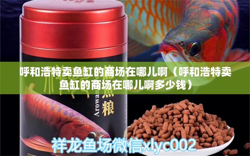 呼和浩特賣魚缸的商場(chǎng)在哪兒啊（呼和浩特賣魚缸的商場(chǎng)在哪兒啊多少錢）