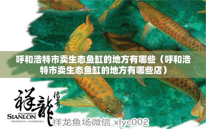 呼和浩特市賣(mài)生態(tài)魚(yú)缸的地方有哪些（呼和浩特市賣(mài)生態(tài)魚(yú)缸的地方有哪些店）