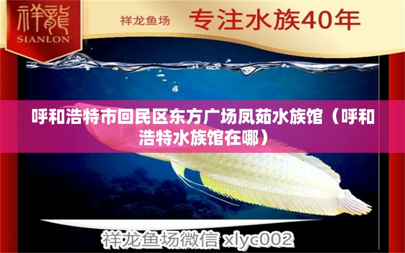 呼和浩特市回民區(qū)東方廣場(chǎng)鳳茹水族館（呼和浩特水族館在哪）